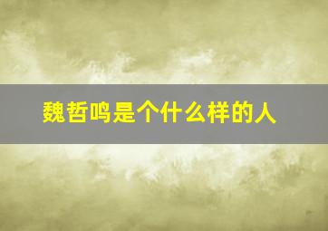 魏哲鸣是个什么样的人