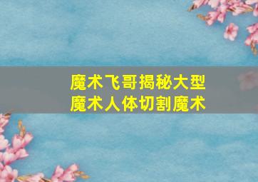 魔术飞哥揭秘大型魔术人体切割魔术