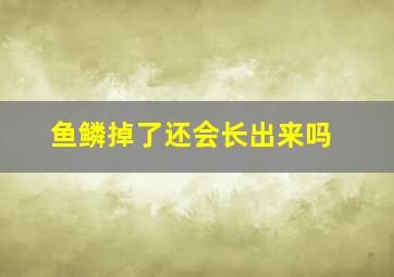 鱼鳞掉了还会长出来吗