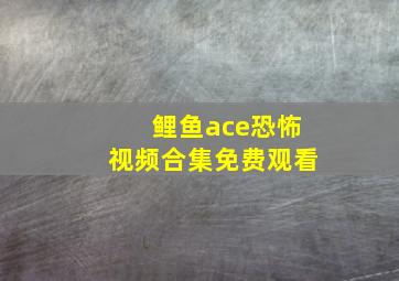 鲤鱼ace恐怖视频合集免费观看