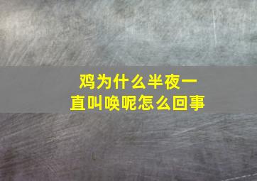 鸡为什么半夜一直叫唤呢怎么回事