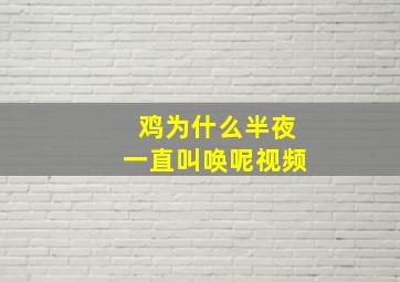 鸡为什么半夜一直叫唤呢视频