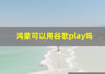 鸿蒙可以用谷歌play吗