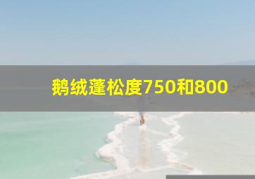 鹅绒蓬松度750和800