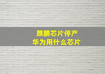 麒麟芯片停产华为用什么芯片