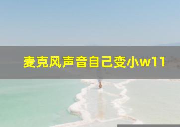 麦克风声音自己变小w11