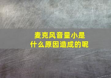 麦克风音量小是什么原因造成的呢