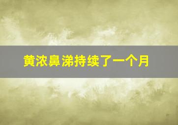 黄浓鼻涕持续了一个月