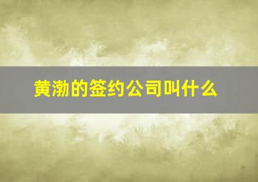 黄渤的签约公司叫什么