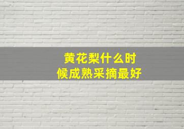 黄花梨什么时候成熟采摘最好