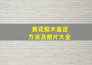 黄花梨木鉴定方法及图片大全