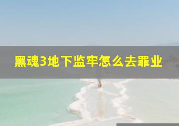 黑魂3地下监牢怎么去罪业