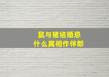 鼠与猪结婚忌什么属相作伴郎