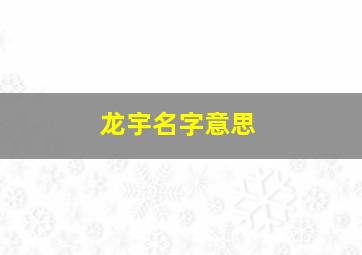 龙宇名字意思