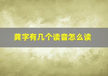 龚字有几个读音怎么读